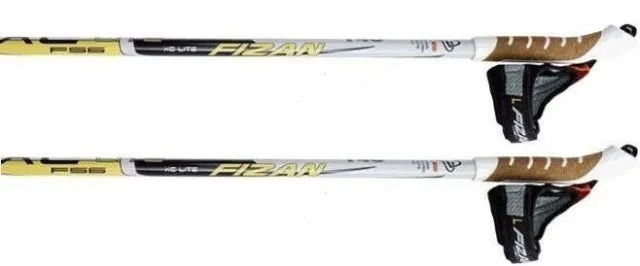 Fizan BC poles