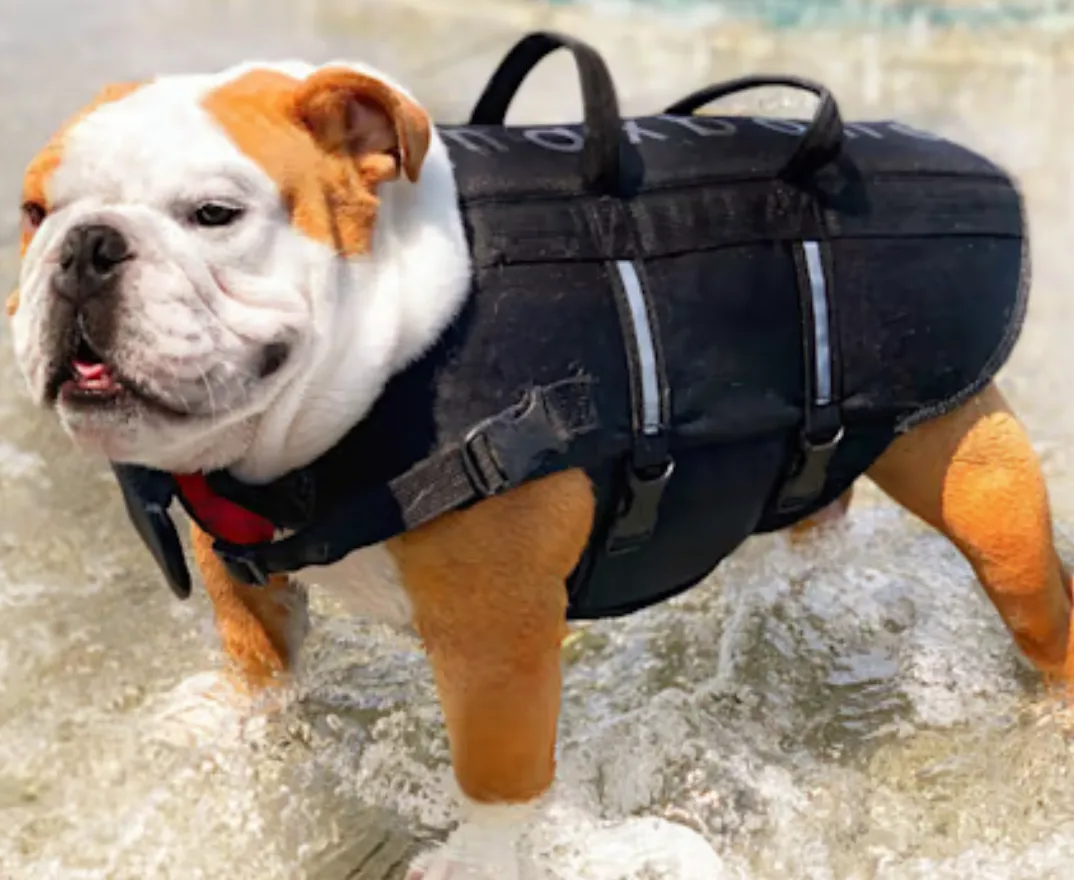 Life jacket
