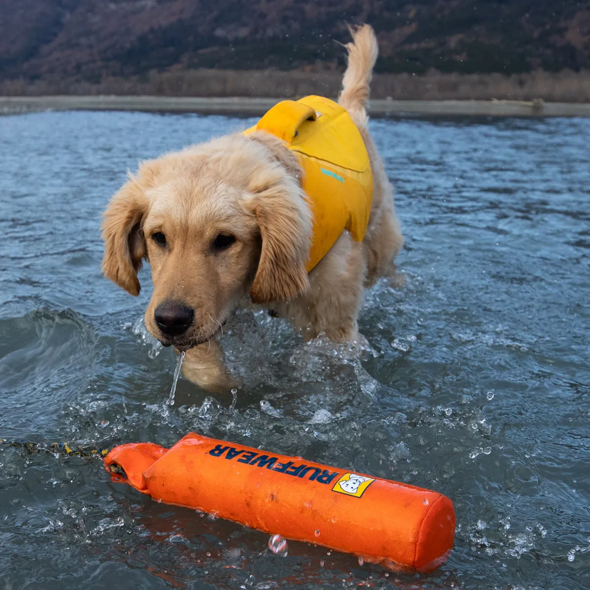 Lunker Toy