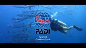 Open Water Scuba Scuba diving course Naui (Copy)