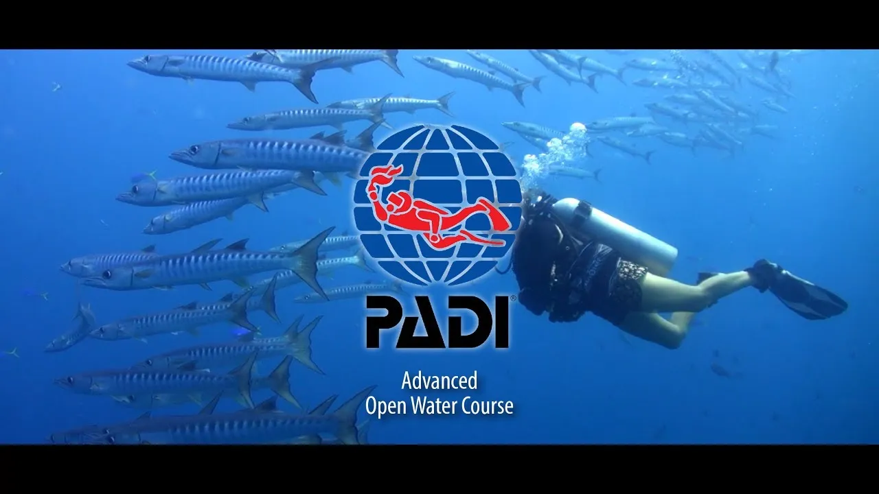Open Water Scuba Scuba diving course Naui (Copy)