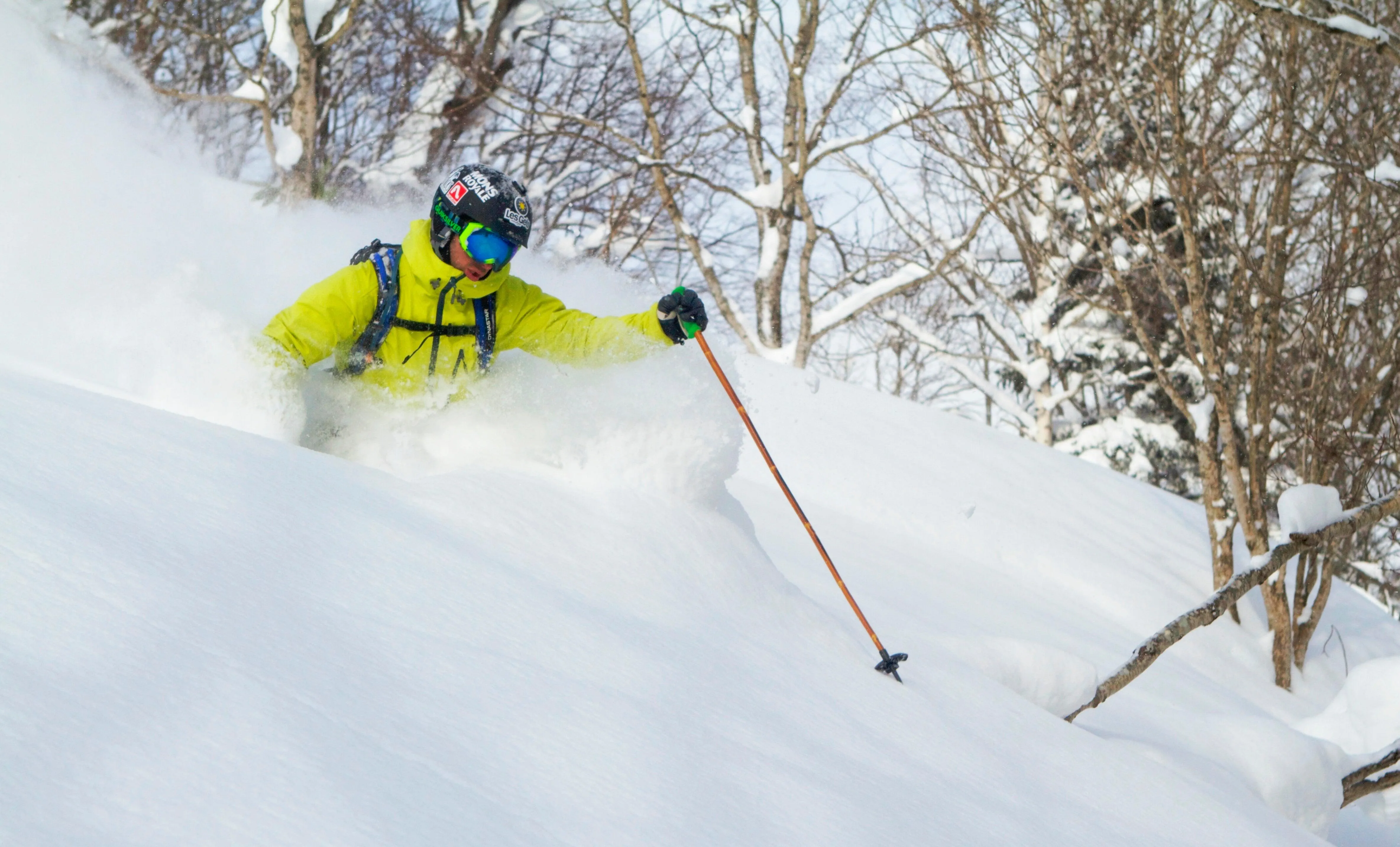 Original Bamboo Ski Poles