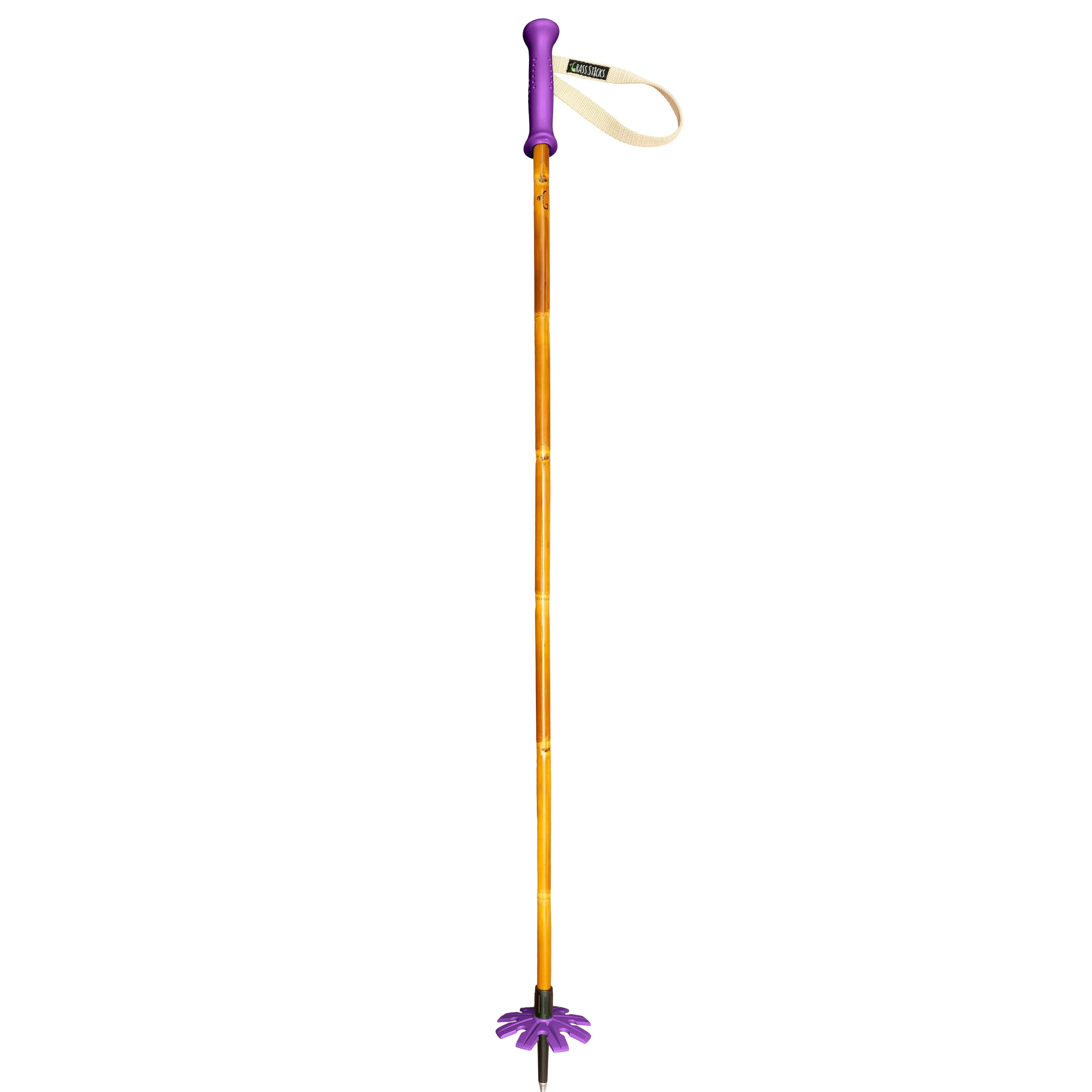 Original Bamboo Ski Poles