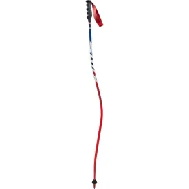 SWIX DHC IPM CARBON POLES