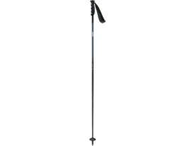 Swix Excalibur Dark Ski Pole